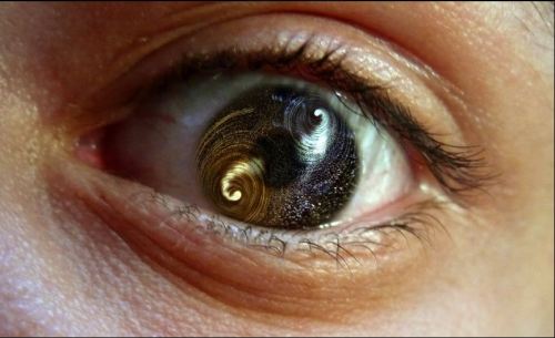 Yuri Malina 5 photo by Y Malina