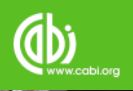 CABI Logo