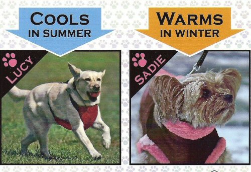 KumfyTailz Functions