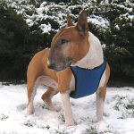 Clamps, our Office Manager