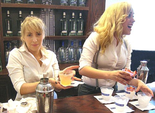 FREE SAMPLES - VODKA OR GIN 500