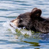 20160619-20160619-_jaj5955